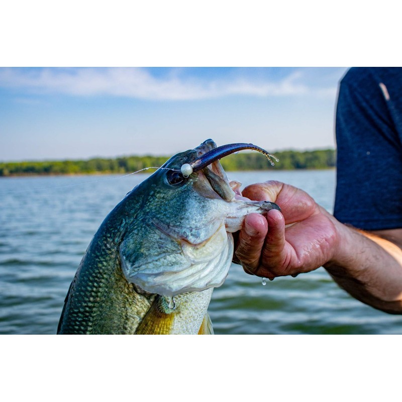 YUM FF Sonar Minnow - Houdini Shad - 4"