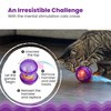 Catstages Hamster Ball Interactive Treat-Dispensing Ball Puzzle Cat Toy with