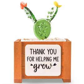 Crystal Cactus Potted Glass Flowers Emotional Support Plant for Women,Thank You for Helping Me Grow Gift Appreciation Gifts Thank You Gifts for Teachers Mentor Supervisor