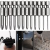 Bestgle 12 Cross Axis Phillips Screwdriver Bit, 6.35 Bit, 1