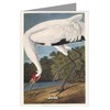 Twelve Assorted Notecards Of John James Audubon Celebrated Illustrations Of