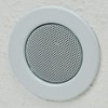 ChiliTec Built-in Ceiling Speaker 12 W Flat Ceiling Wall Round