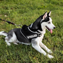 TIESOME 4 Pcs Reflective Do Not Pet Patches with Hook Backing, in Training Dog Tags Reflective Removable Tactical Service Vest Harness Tags for Service Animal Vests/Harnesses Large (6 X 2) Inch