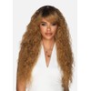 Amore Mio Hair Collection's AW-VIVIAN, Long Spanish Wavy EVERYDAY WIG