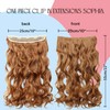PRETTYSHOP 40 cm or 55 cm Clip-In Hair Extensions, Voluminous