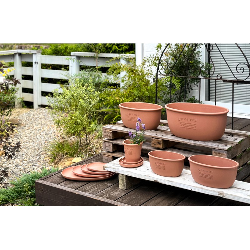 Hachiman Kasei Hachiman Gardens Arble 245995 Eco Saucer, Oval Type,