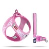 Vest Harness Curli Clasp Air Mesh Pink-Circles M & Leash