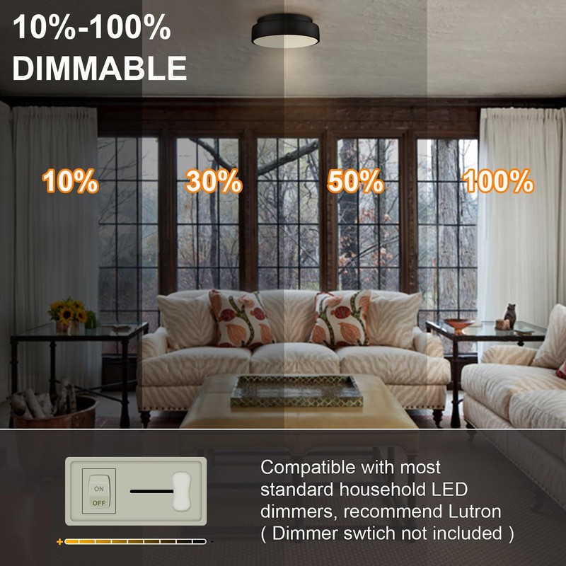 DIRYZON Outdoor Gooseneck Wall Sconce and Dimmable LED Ceiling Light