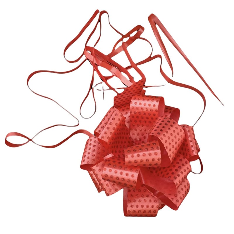 Decoration Kit for Christmas Baskets