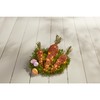 Mud Pie Woven Led Carrot, Orange