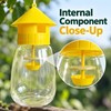 Reusable Fruit Fly Trap for Gardens and Orchards – Yellow