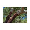 100 New Wine Corks - Craft Corks - Various Varieties
