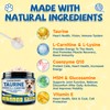Taurine for Dog Taurine Powder, Heart Cardiac Vision Energy Hip