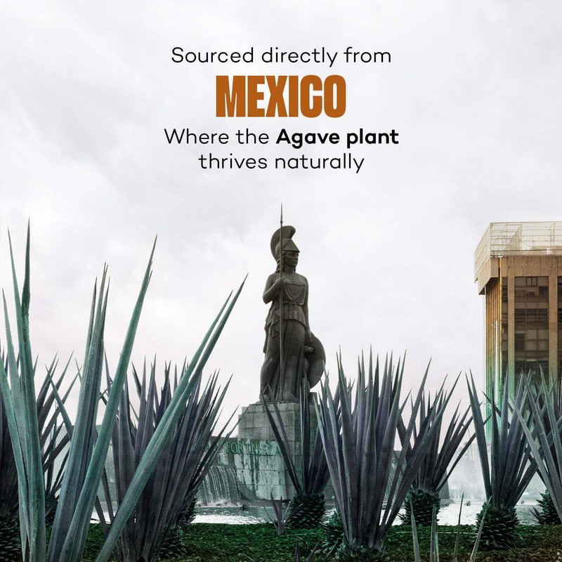 Urban Platter Mexican Blue Agave Syrup | 17.64 Oz (500g)