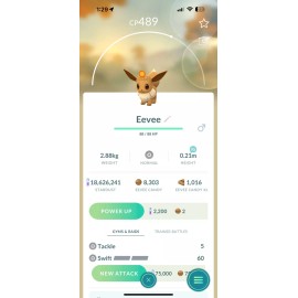 EEVEE SUN CROWN GO FEST SENDAİ 2024