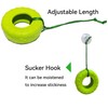 JSLZF Tree Frog Habitat with Terrarium Decor, Frog Climbing Swing