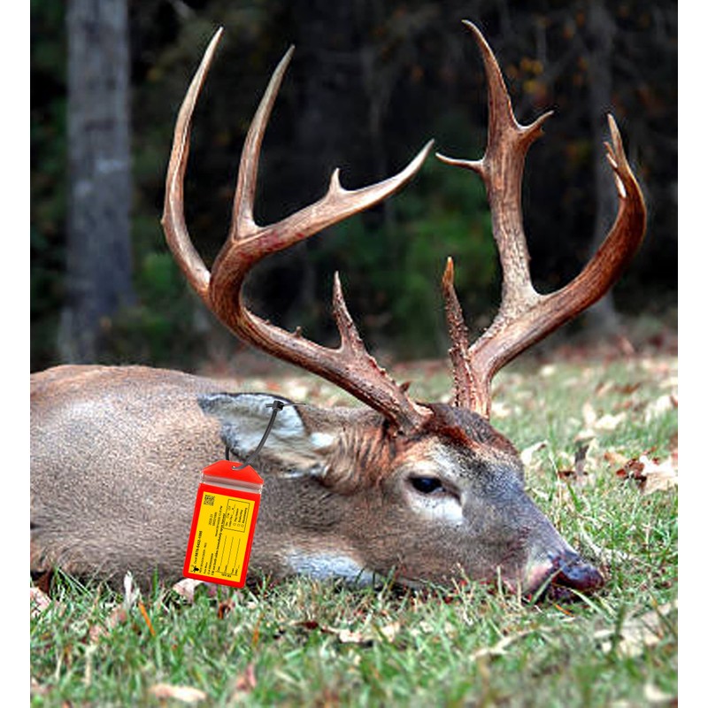 10 Pack, Fluorescent Orange, Vertical, Zipped, Hunting & Fishing License