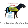 Yellow Dog UK Dog Vest - I NEED SPACE (Small)