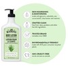 J.R. Watkins Daily Moisturizing Body Lotion, Aloe & Green Tea,