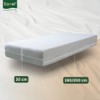 SAVEL - Mattress Encasement (80x190/200cm) Small Single Size | Noiseless,