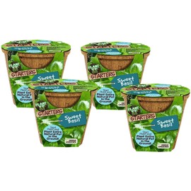 Unique Gardener Plant-It Starters Plant Seeds 4-Pack, DIY Indoor Succulents and Live Plants for Home or Garden Planting, Sweet Basil