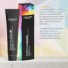 PostQuam - Pack of 6 Professional Hair Colours with High