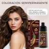 Chestnut Brown Hair Dye Shampoo 3 in 1, Shampoo Tinte