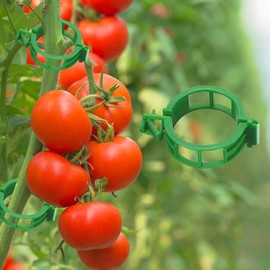 Tomato Clips for Climbing Plants, 300 Pcs Reusable Plastic Tomato Plant Clips for Climbing Plants,Tomato Trellis Clips for Plants Support
