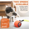 PawsomeFinds Interactive Cat Toy Ball for Indoor Cats, Two Speed