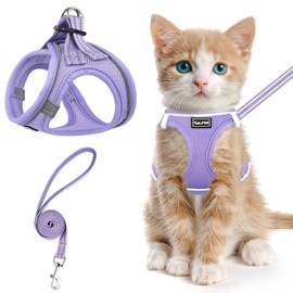 SALFSE Cat Harness and Leash for Walking Escape Proof, Adjustable Kitten Vest Harness Reflective Soft Mesh Puppy Harness for Outdoor, Comfort Fit, Easy to Control (Purple, XS)