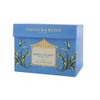 Fortnum & Mason British Tea, Moroccan Mint Green Tea15 Silky