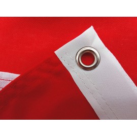 FLAGLY Premium Poland Flag 100 x 150 cm - Ship Flag Cloth, 160 g/m² Fabric Weight - Handmade, Robust and Weather-Resistant with Eyelets (100 x 150 cm, Poland)