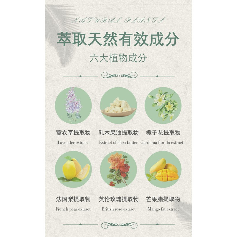 200G HANDBOLLY Pure Plant Oil SkinCare Soap Body Soap Hand