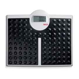 Seca 813 Robusta High Load-Bearing Capacity Electronic Flat Scale