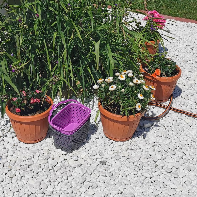 Kerafactum Clip Basket |, Cup Mint