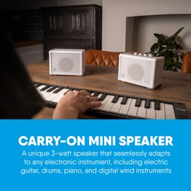 Carry-on Mini Speaker Compact 3 Watt Portable Mini Combo Amplifier for Guitar, Bass, Keys, Electronic Drums and Vocals