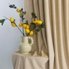 Roslynwood Luxury Soft Sand Velvet Curtains 72 inches Long Back