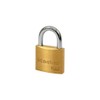Master Lock 4140EUR Key Padlock with Brass Body, Gold, 6