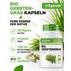 vit4ever Organic Barley Grass - 365 Capsules - Storage Pack