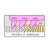 nonoji Soft Tongue Cleaner "Tongue too!" with Dedicated Case -