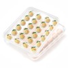 Newness Deviled Egg Containers with Lid, (Set of 2), Plastic