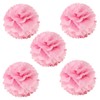 Wrapables A67638c Set of 5 Tissue Pom Poms Party Decorations