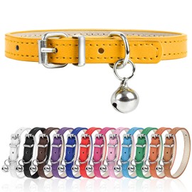 XXS Dog Collar for Teacup Adjustable Teacup Dog Collar for Small Medium Large Dogs 3/8 inch Width (Golden, XXS)