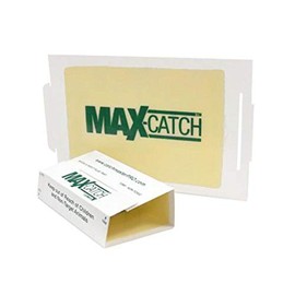Full Case of 72 Catchmaster Mouse/Spider/Insect/Scorpion Glue Board Sticky Traps Peanut Butter Scent
