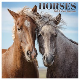 TF PUBLISHING 2025 Horses Mini Calendar - Large Grids for Appointments and Scheduling - Vertical Monthly Wall Calendar 2025 - Home and Office Organization - Premium Thick Gloss Paper - 7"x7"