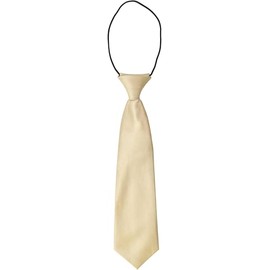 Kids Satin Solid Plain Colour Elasticated Tie (Champagne)