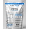 Creatina Monohidratada 500gr Raíces Pro 100 Servicios