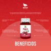 Maca Roja Peruana Red 100 Cápsulas Fertilidad Energía Antioxidante Antidepresivo