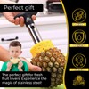 Pineapple Cutter