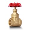 3/4" NPT Brass Gate Valve, Heavy Duty Female x Female